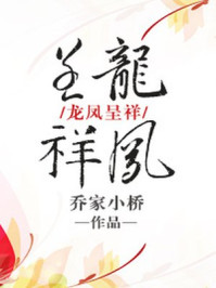 龙凤呈祥小说封面